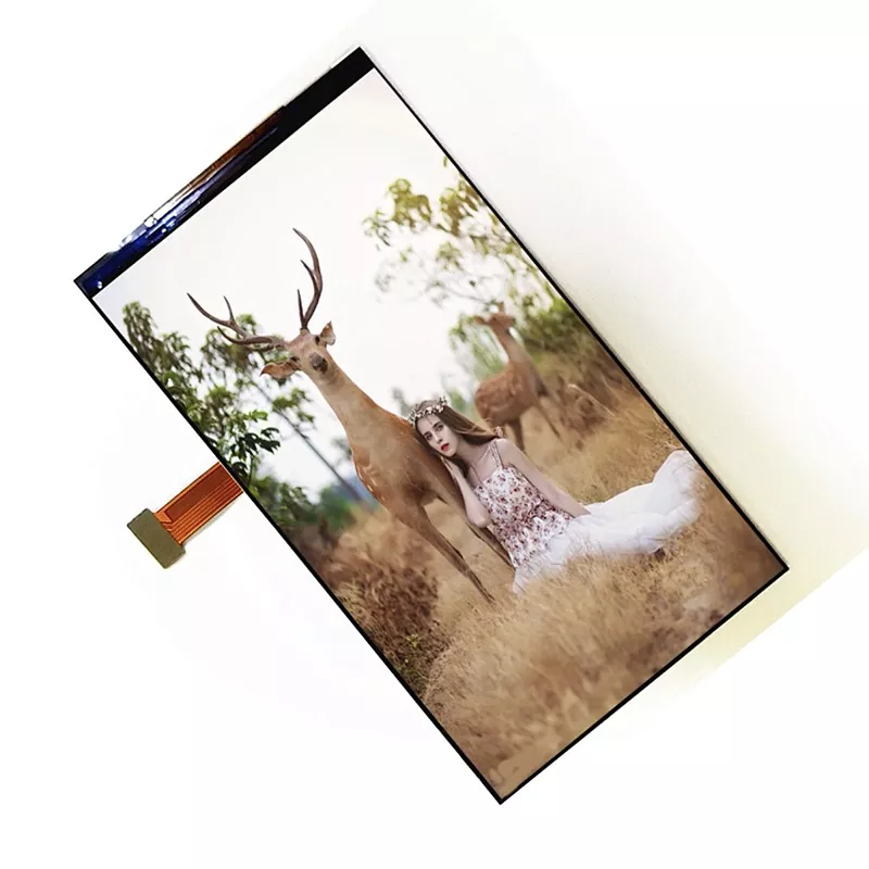 5,5 inch 1080p Modul TFT