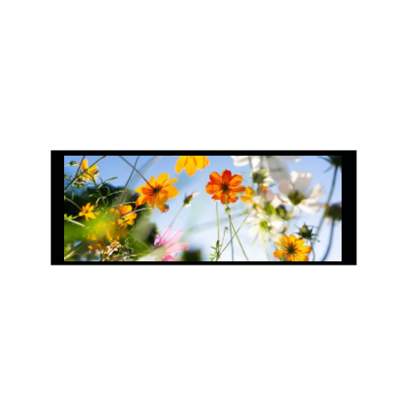 6,86 inch 480 × 1280 IPS Modul TFT